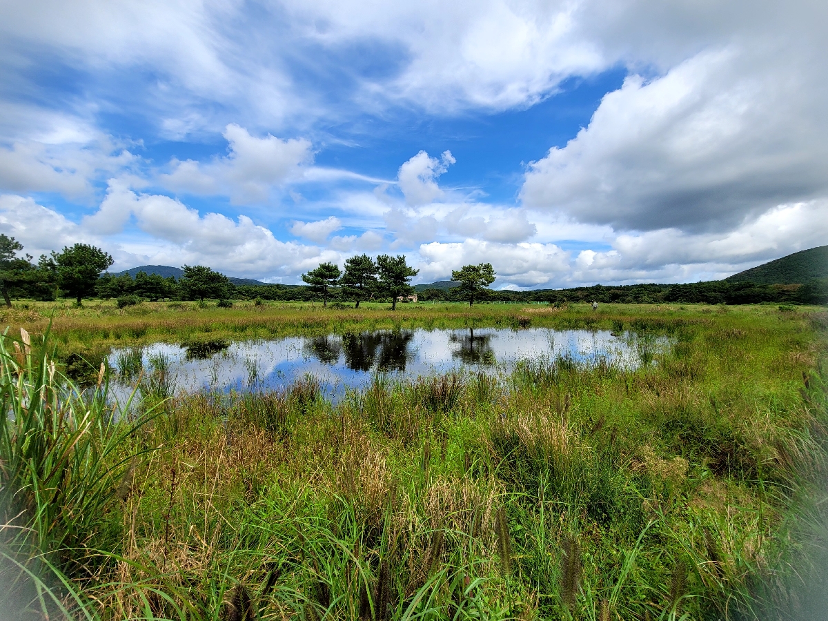 수망리무명습지2