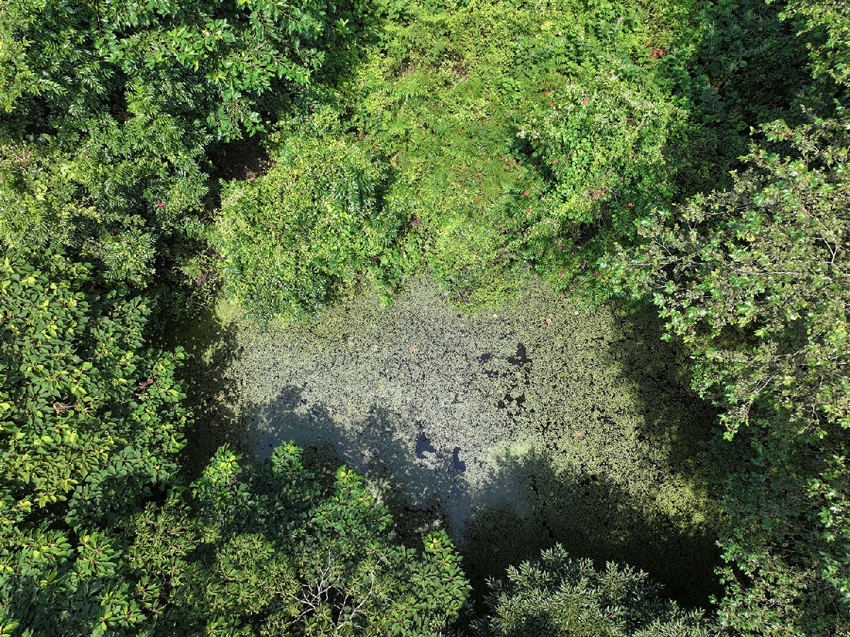 무명습지3 한남리산100한남파크골프장1