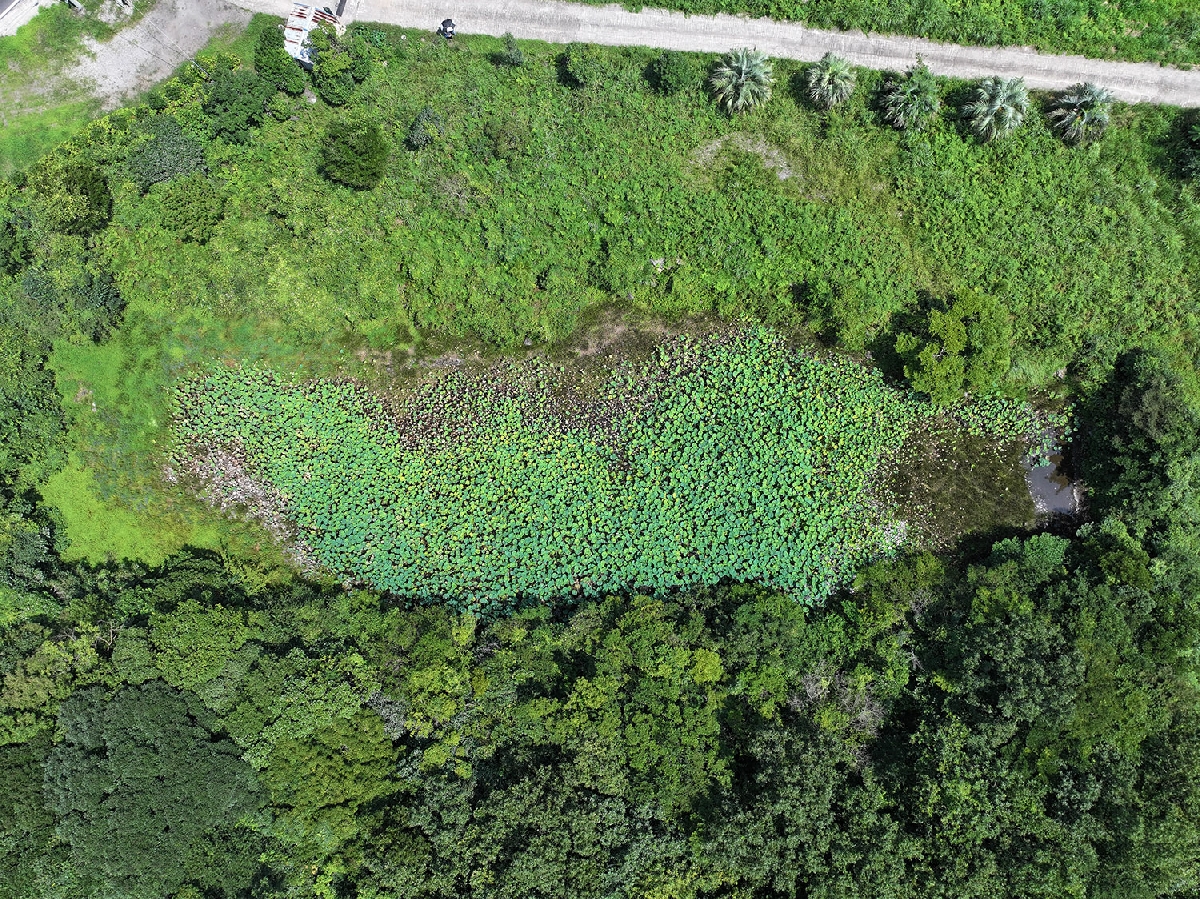 무명습지2 한남리11-6한남못2