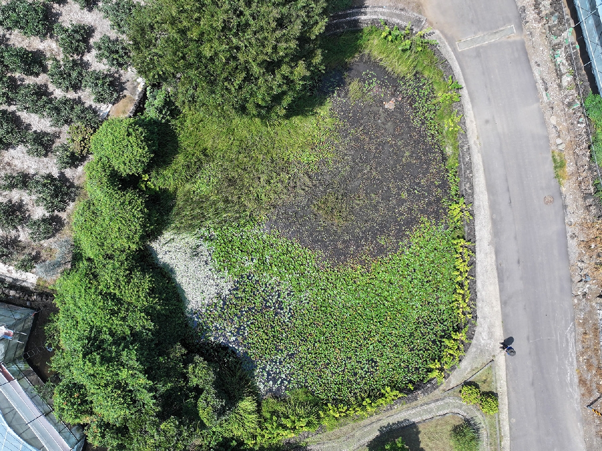 남원연못(순물) 남원1619