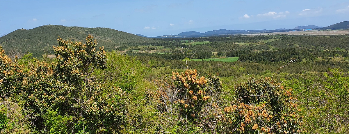물영아리 주위의 오름들